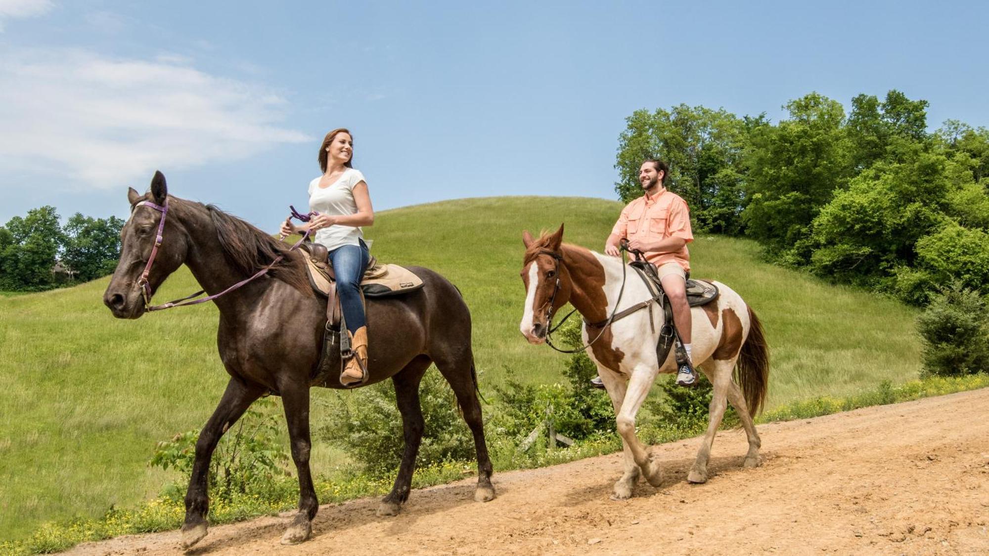 A Walk In The Clouds By Eden Crest Villa Sevierville Exterior foto